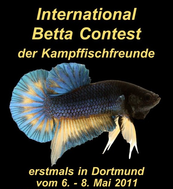 10 Fragen zum Betta-Contest in Dortmund an Peter Bärwald